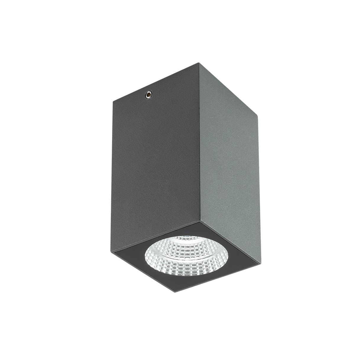 QUAD Plafoniera GRIGIO 2700K 4W IP65 - 220-240V, 50/60Hz - OUTDOOR